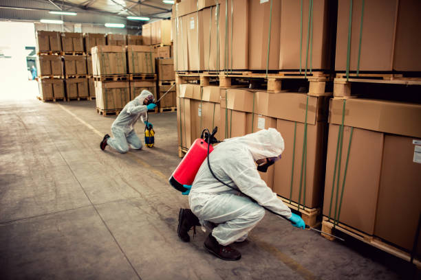 Best Mosquito Control Services  in Brooklyn Park, MN