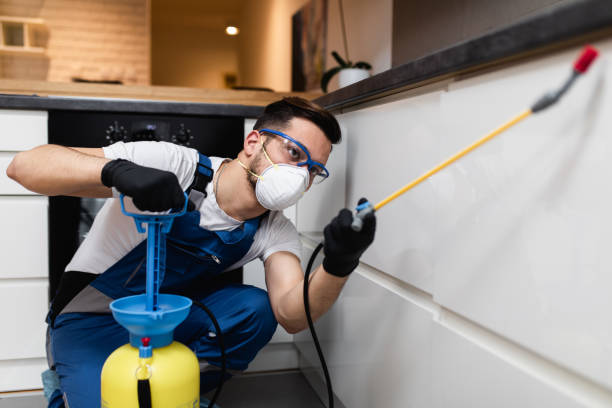  Brooklyn Park, MN Pest Control Pros