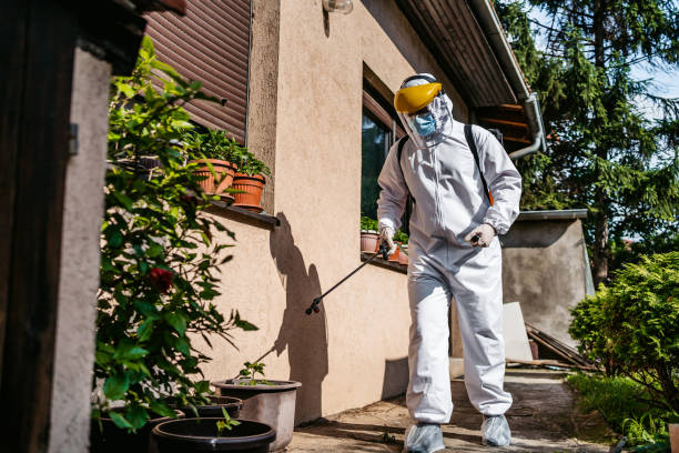 Best Pest Control Near Me  in Brooklyn Park, MN