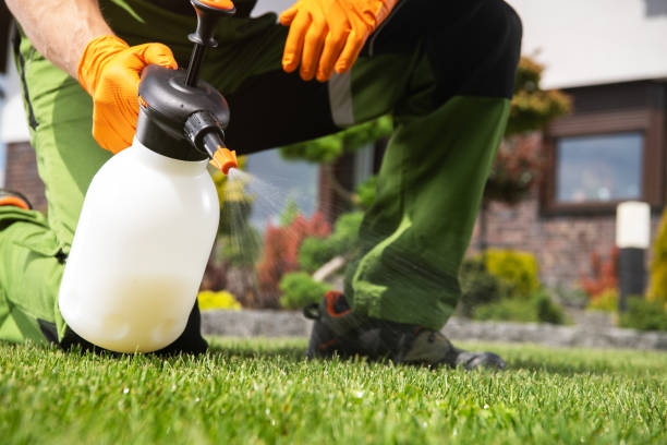 Best Pest Removal Services  in Brooklyn Park, MN