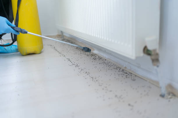 Best Pest Prevention Services  in Brooklyn Park, MN