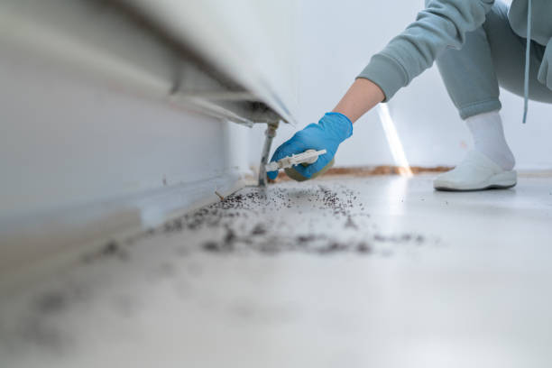 Best Emergency Pest Control  in Brooklyn Park, MN
