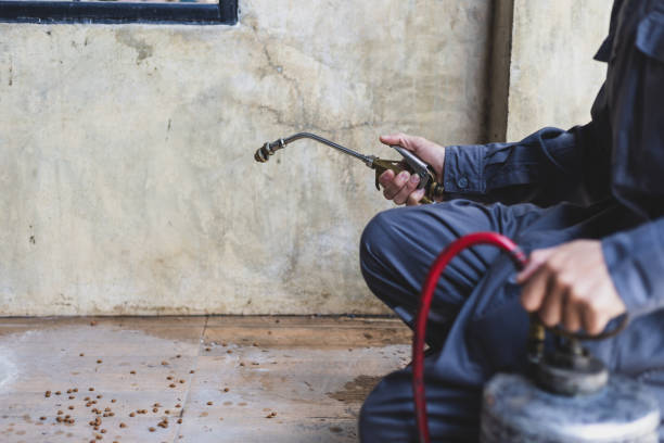 Best Exterminator Services  in Brooklyn Park, MN